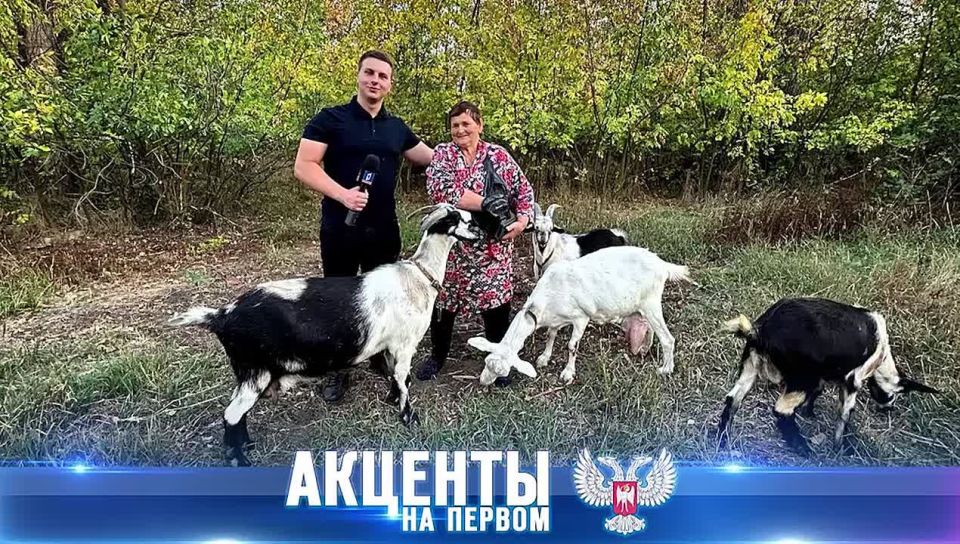 ��������� ����������: � ������������ ������� ���������������� ������ �������� ���� ��������� ��������������, ���������� ����������� ����� � ���������� ����� ����� ������������������