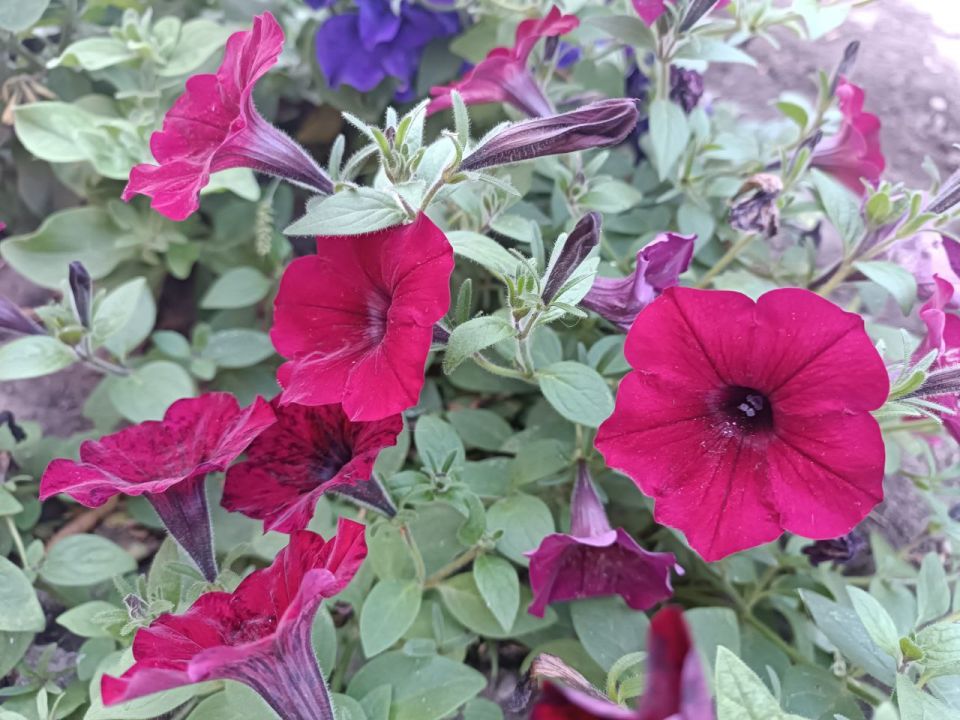 ������ ����, ������������� ������������� �����!