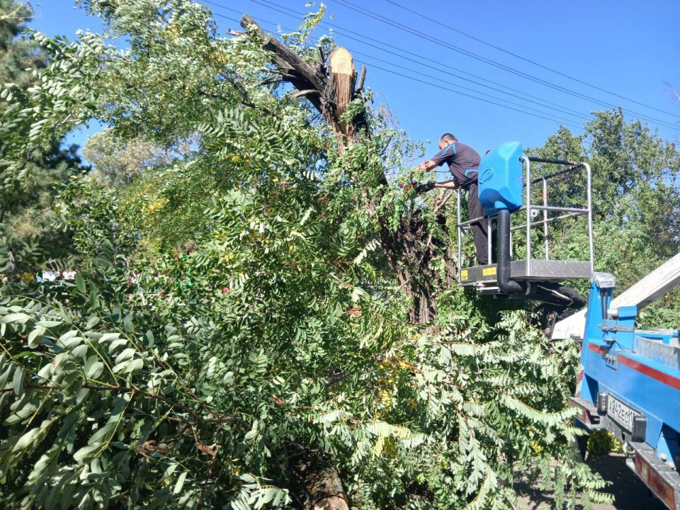 Сергей Юзвинкевич: На территории Володарского муниципального округа округа исходя из ранее данных поручений Главы Донецкой Народной Республики Дениса Владимировича Пушилина продолжается спил и кронирование аварийных...