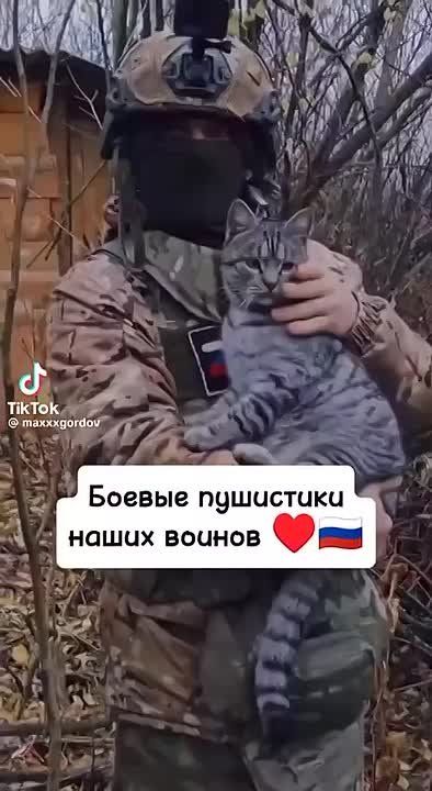 ����� �������� ��������� �������