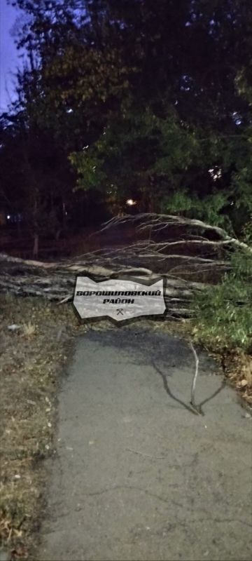 ������� ��������: ���������� ������������� ����������� ������� ������������� ���������� ��������� � ��������� ����������� ��������