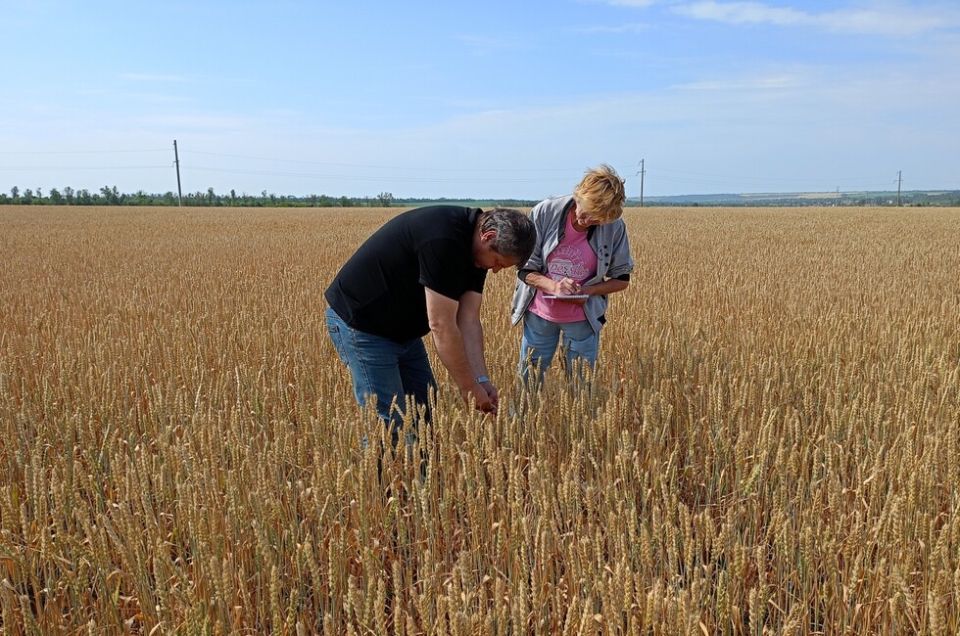 В Россельхозцентре рассказали о проделанной в ДНР работе и планах на будущее