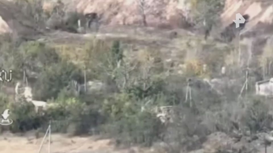 ����� ������������ ����������� ������ ������� ����� � ��� ������������ ���������� ��