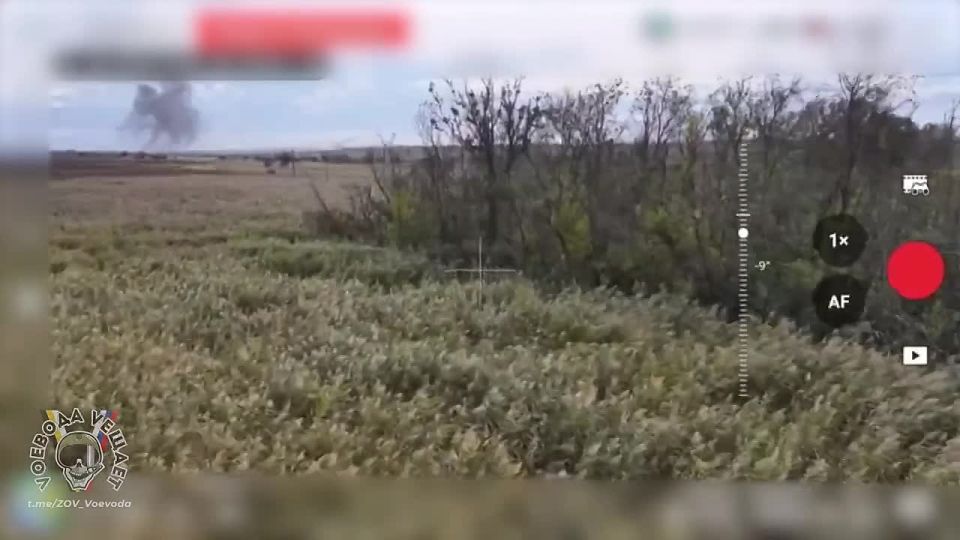 ������� ���������. �� ����������� ��������� ��� �� FPV-������ ���