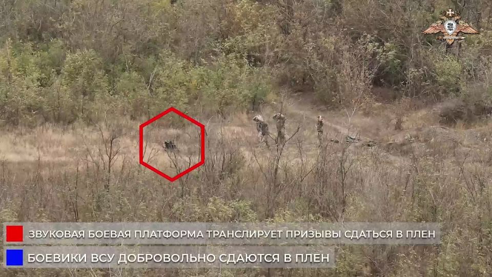 ���������� �������������� ������� � ���� � ������ ������-����