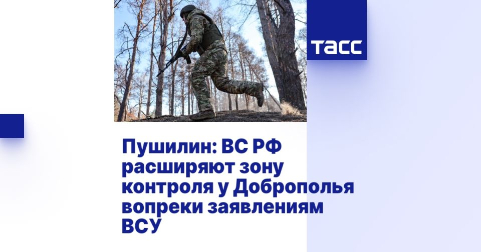 Пушилин: ВС РФ расширяют зону контроля у Доброполья вопреки заявлениям ВСУ
