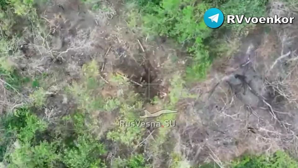 ����� � ��������: ���������� ��������� � �������� ��������� ������� ���