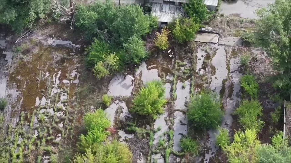 ���� ��������: �� ��������������� ����������� ���������� ���