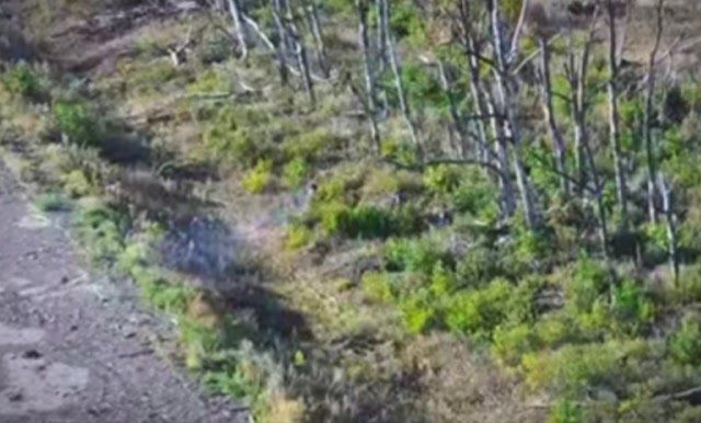 Бригада Волки работает на направлении Соледар-Артёмовск (Бахмут)