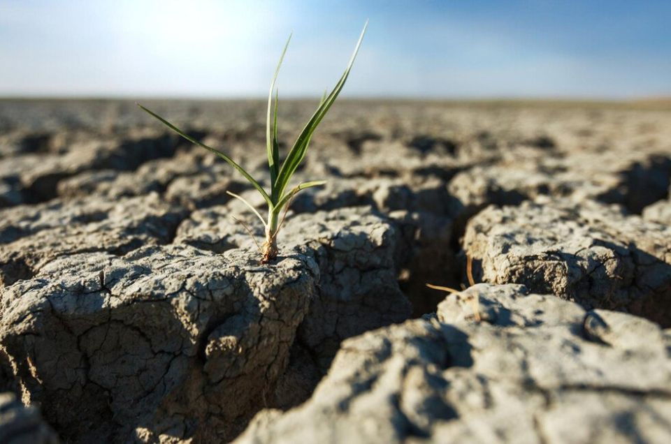 ������� ������� ����� �� � 10 ������� ��� ��-�� ��������� ������