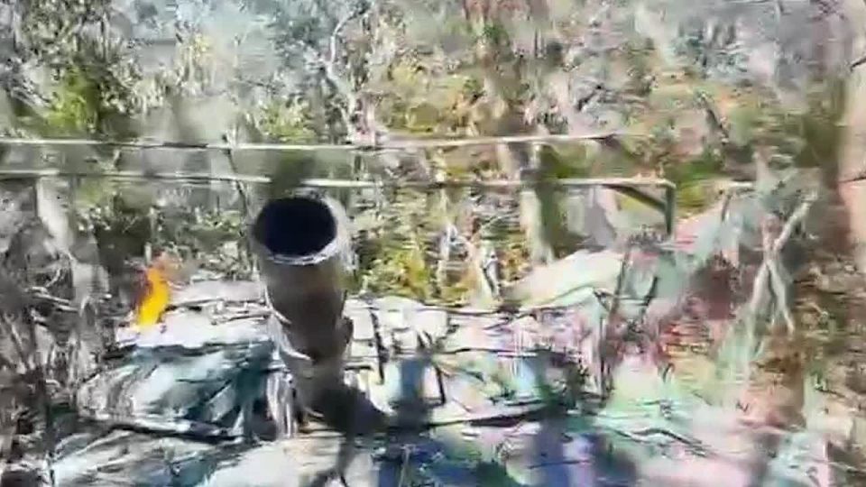 ������ �� ������������� ��������� ��� � ������ ���������
