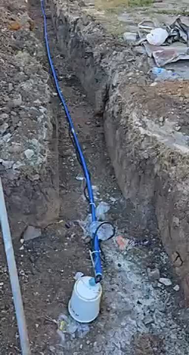 ��� ������� � ��� �����: ���� �������