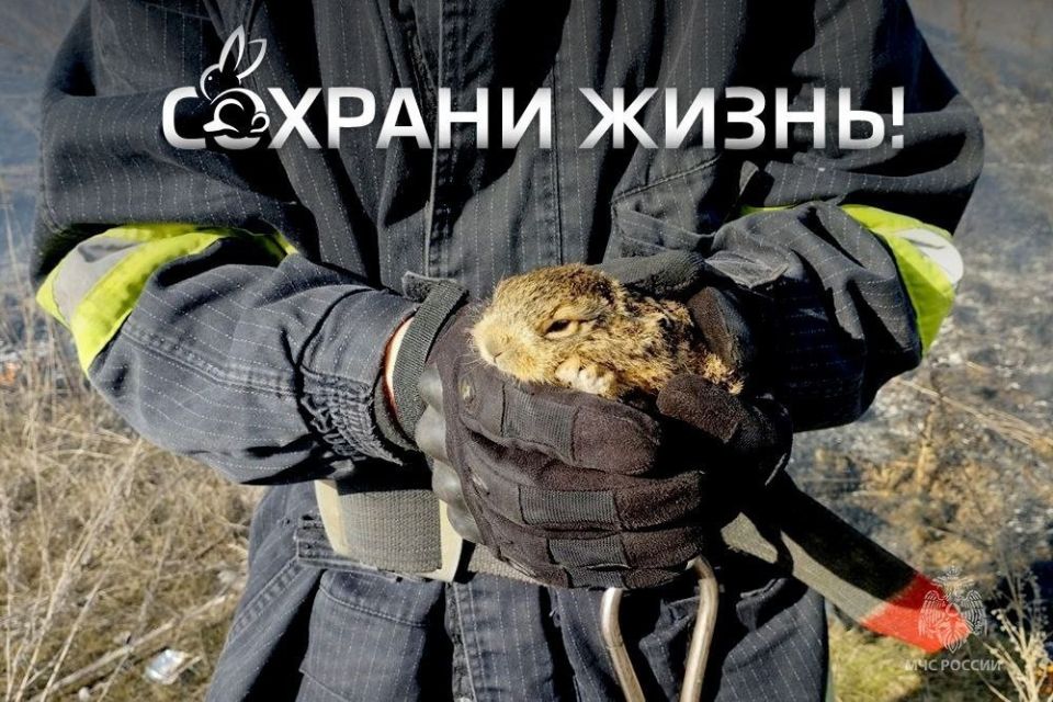 ������ ������ ������o� � ������� � ������o� � �����, �� �������� ������?