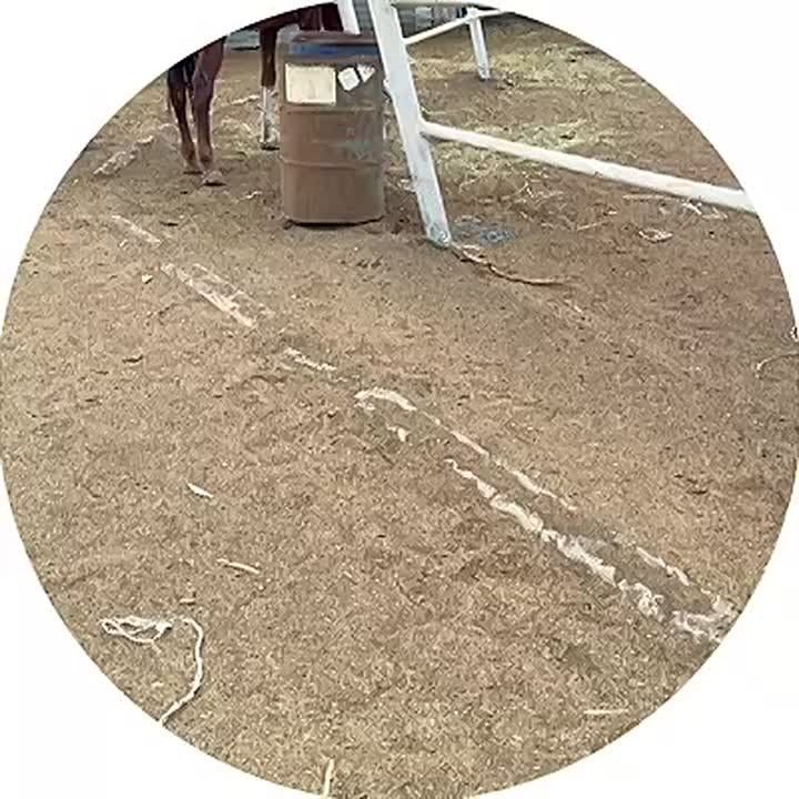 � ������ � ��������� �������� ����� �� ������