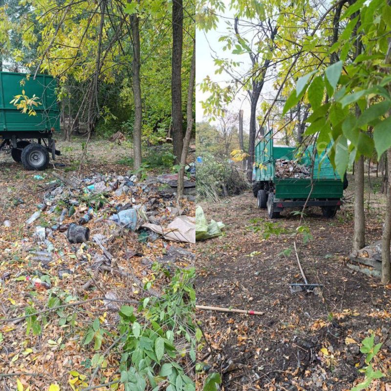 ������� ��������: ��������������� � ������ ������������