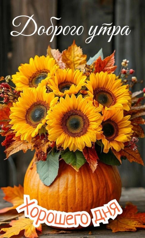 #доброе_утро