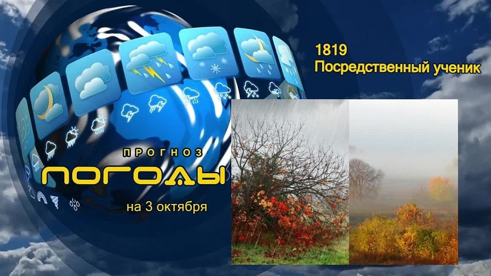 Прогноз погоды. 3 октября 1819 года преподаватель Полтавского училища, имя которого история не сохранила, записал в классном журнале аттестацию на одного из своих учеников: «Способности посредственные, туп, слаб, резов»