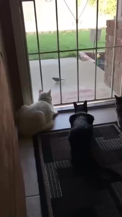 ���� ������ ���������� �����!