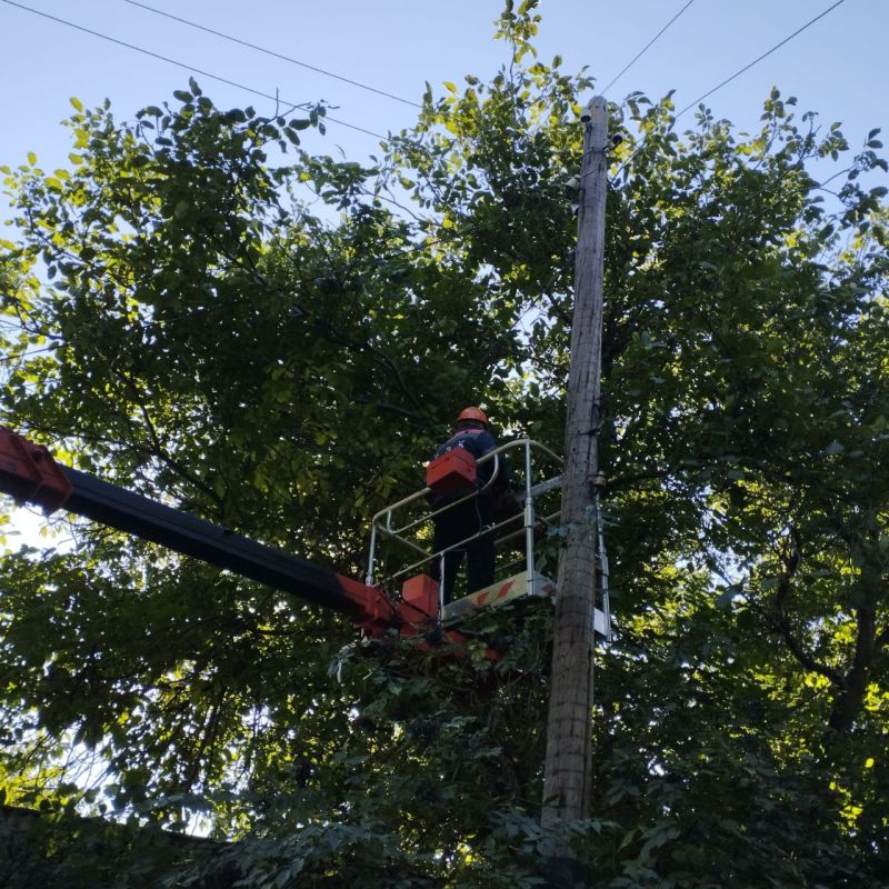 ������� ����������: � ���� ��������������� ����������� �������������� ��������� ��������������� ��������� ������� ���������� ������ �� ��������� ����� ��� ������������������ ����� ��������������� �� ������ ��������