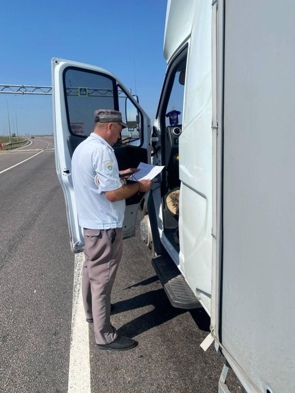 ��������� �����: �������� � ������� ��������� ��������� ����� ������ ������������� ����������� �� �������� �������� ����������