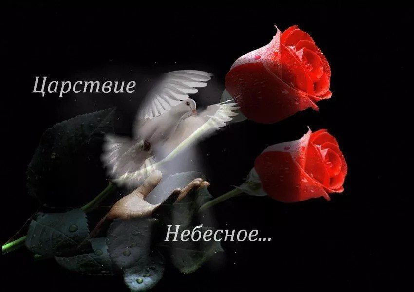 Роман Конев: Уважаемый Игорь Евгеньевич, глубоко сожалею о потере вашего любимого человека – Вашей супруги!