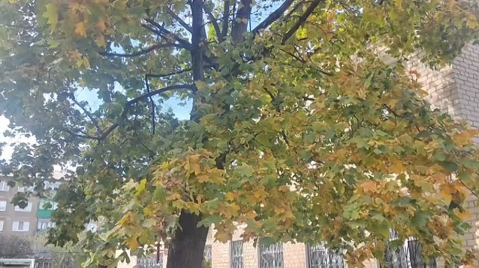 "Осенняя мозаика": праздник добра и тепла для особенных детей