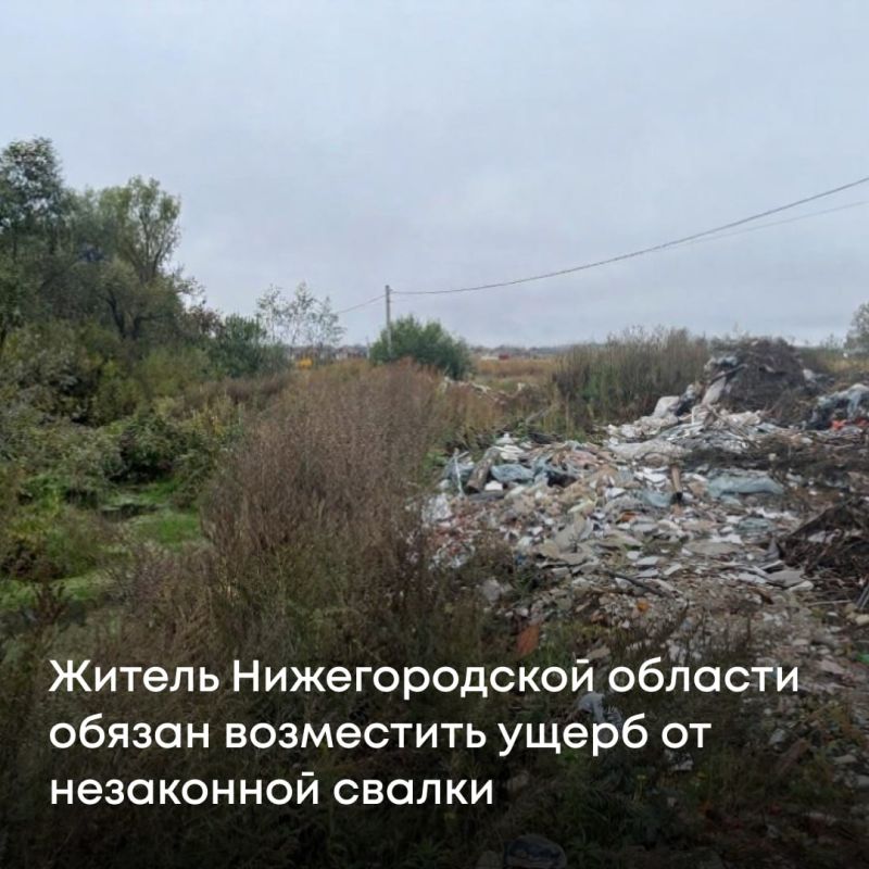 Инспекторы Росприроднадзора обнаружили незаконную свалку в деревне Крутой Нижегородской области