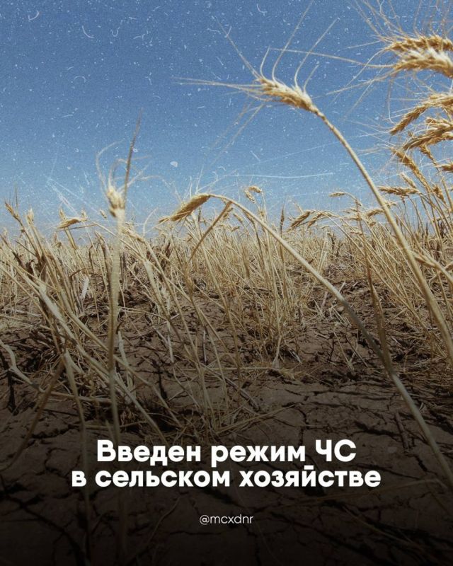 Указом Главы ДНР №748 от 1 октября 2025 года обстановка, сложившаяся на территории Донецкой Народной Республики с 10 июня 2025 года в результате возникновения опасного агрометеорологического явления (почвенной засухи)...