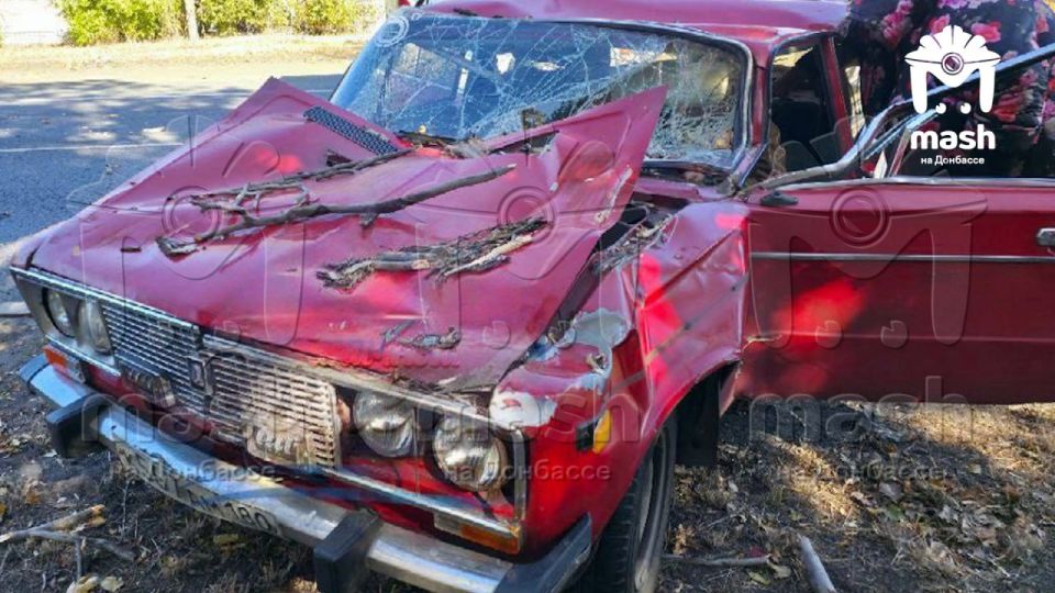 Дерево рухнуло на "жигу" в Торезе