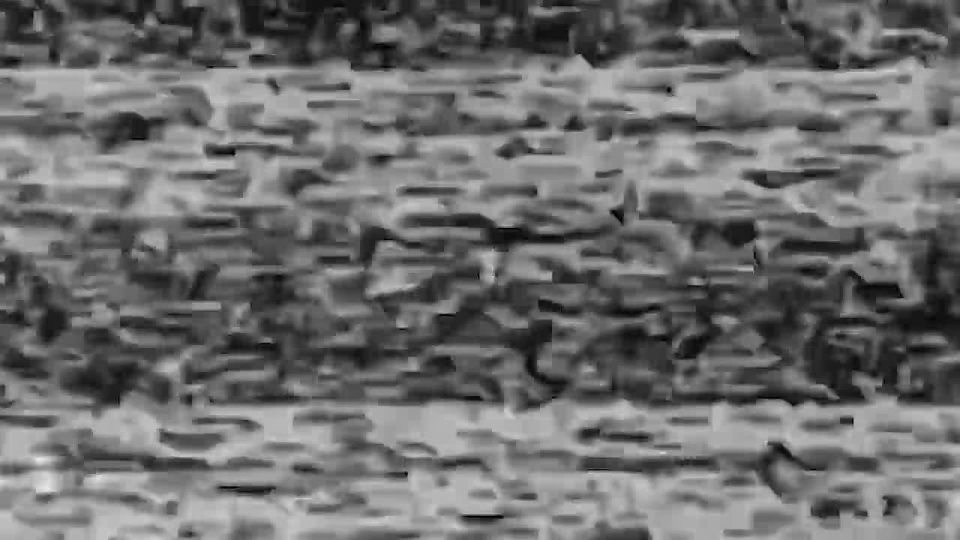 Очередное дорогостоящее «крыло» укронацистов уничтожили бойцы бригады «Невский» Добровольческого корпуса