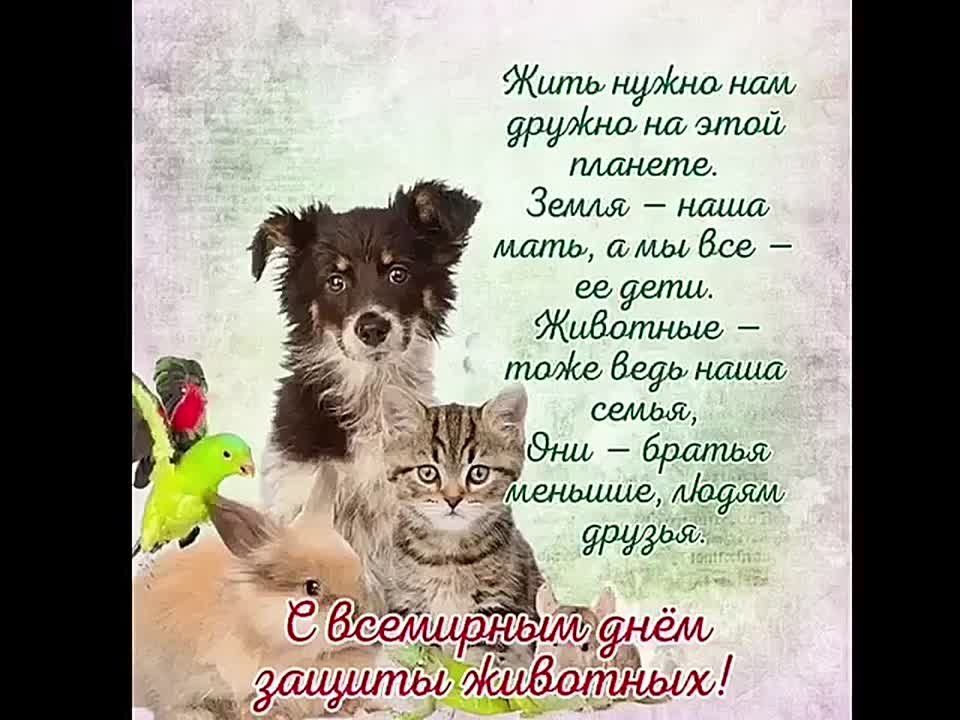 ����� �������: � ���������� ����� ������ ����� � ������ ��������