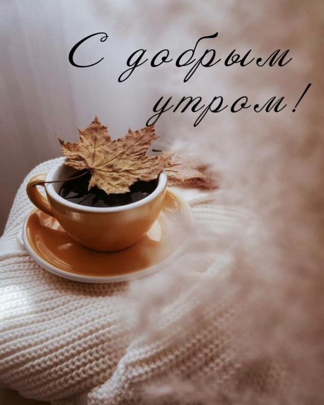 ������ ����!. ����������� ���� �������������