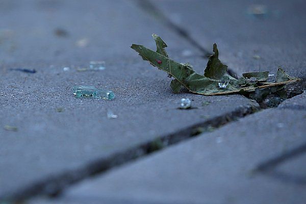 ��� �������: �� ������-������ ������� ��������� ������ �����