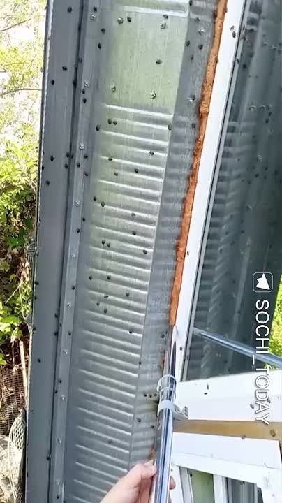 ������� ������-������� �������� ������������� ����