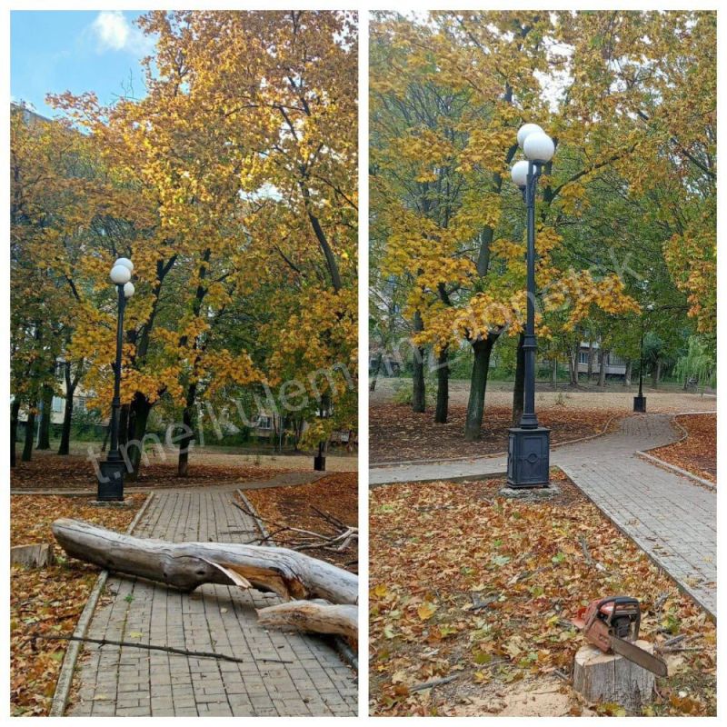 ������� ��������: ��������������� � ������ ������������