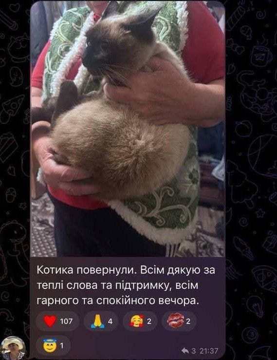 ����, ��������������� ���, ��������������
