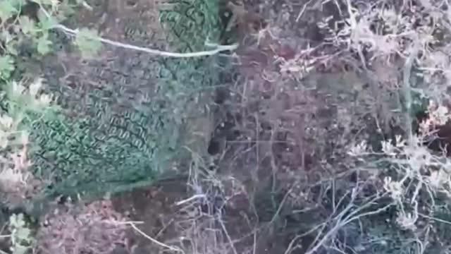 �� �� ���������� ����� ���������� ���� ��� � ������ ����������