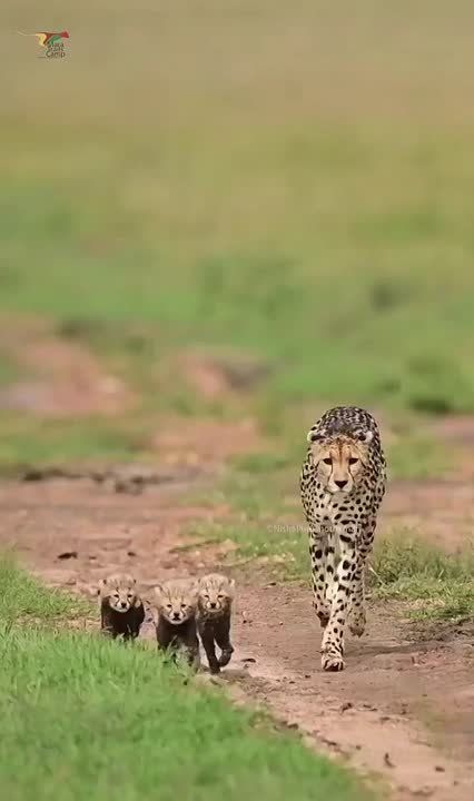 ������ ����, ���������!. ����� ����������� ���� ����� �������� ���������� �������� � �������� �������������! National Geographic ����� ������ ���� � ����� ���������� ��������, �������������� �� ���������� ���� ������...