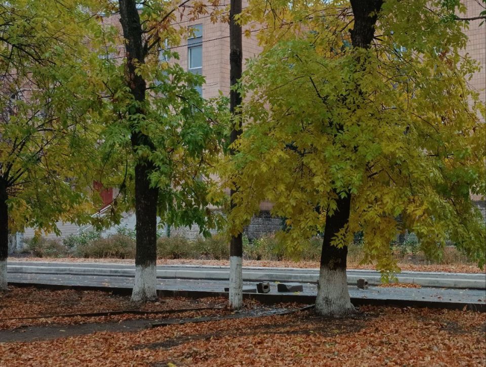 Игорь Лызов: Доброе утро, Амвросиевский муниципальный округ!