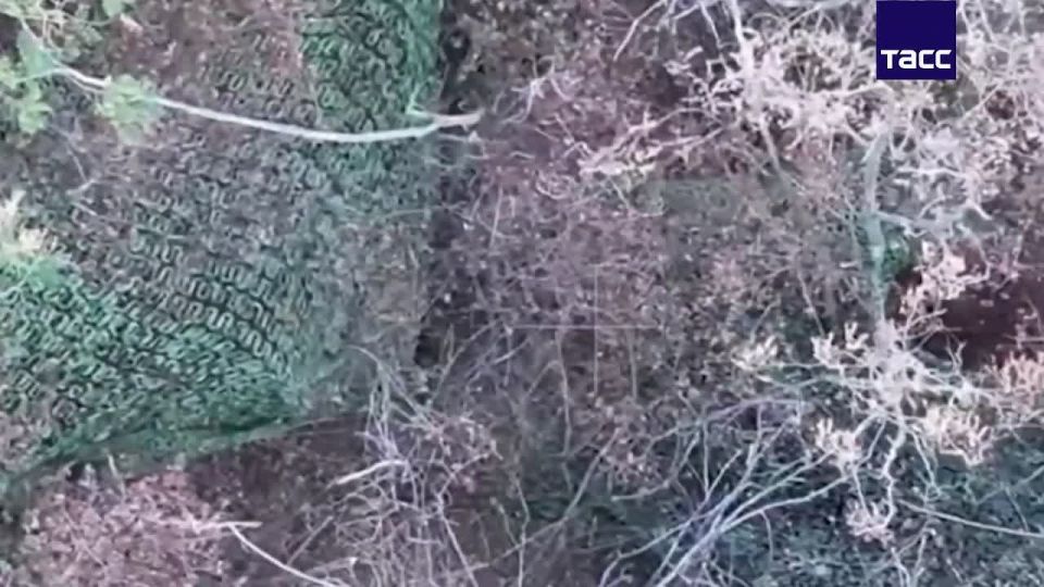 �� �� ����������� ����� "��" ���������� ������� � ����� ���������� ���� ���������� � ������ ���� ���������� � ���, �������� � �� ��