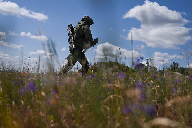 �����������: ���������� ������ ������������ ������������� ���������