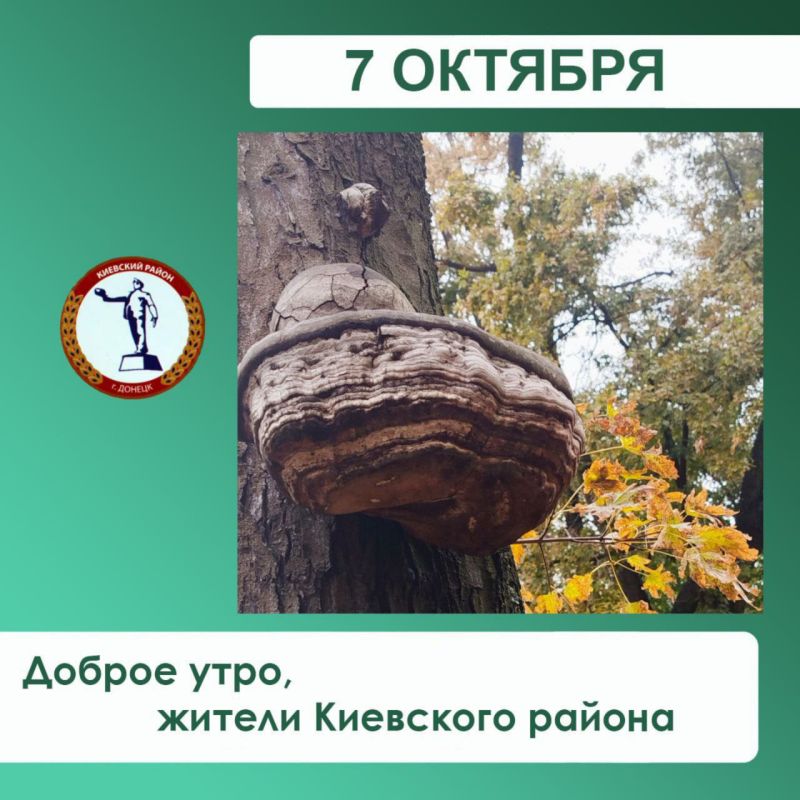 �������� ��������: �� ���������� ��� ��������� ������