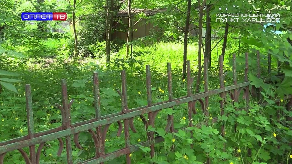 Вне формата. Росреестр – о признаках неиспользования земельных участков