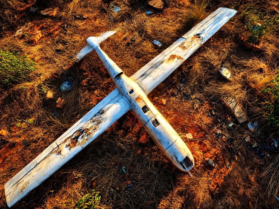 ����� �������� �������: ��� ��������� ���� � ������� �������� � �������������