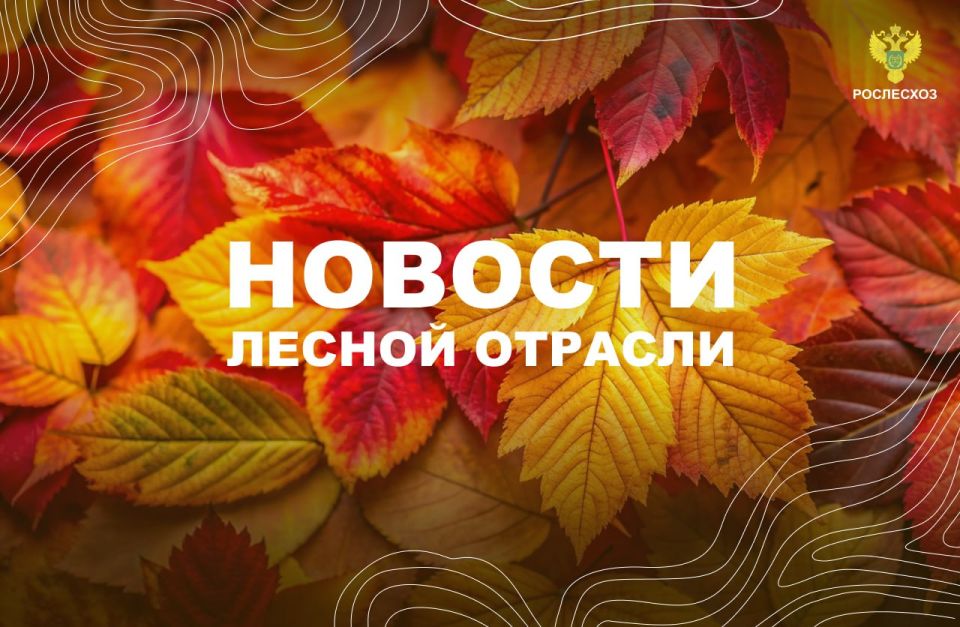 ������ �����: �������� ��������: ������ ���������� ������ ��������� � �����