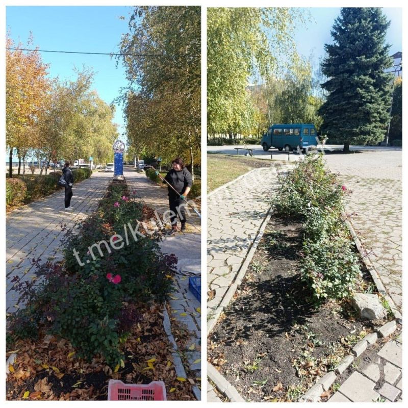 ������� ��������: ��������� ������������� ����������� �������� ������������� ���������� ��������������� ������� ���� �������