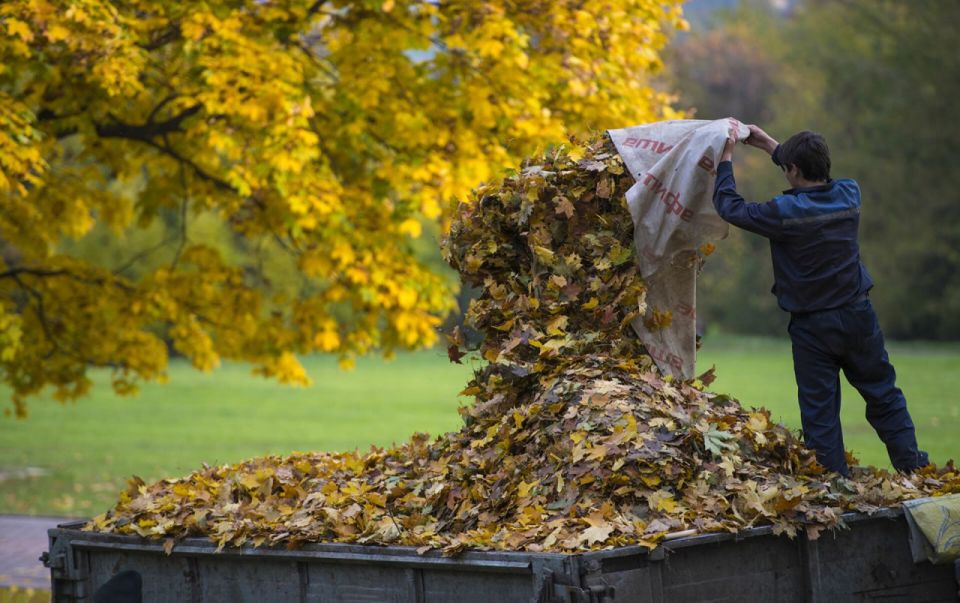 ������� ����������: ������� ���� �������� �� ������������ ������� ������ �������