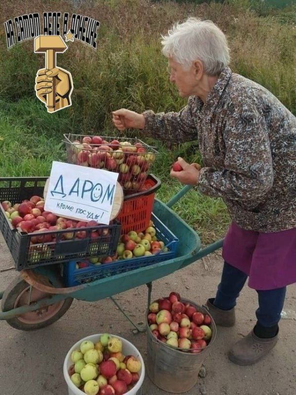 В Шахтёрске бабушка устроила бесплатную раздачу яблок