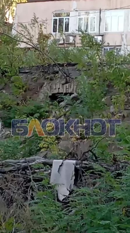 Четверо щенков в опасности: хвостатые заперты в котловане в центре Донецка