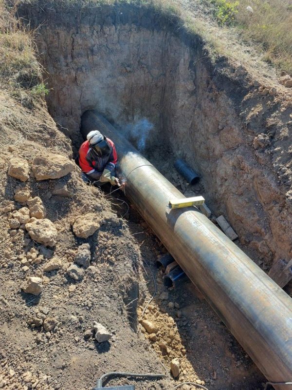 ����� �����: ���������� ������������� ������� ���������� ���������� ����� ������������� � ������